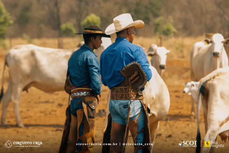 Adama Circuito Cria Conexão Agro