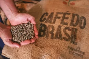 café práticas sustentáveis Seguro Rural Conexão Agro