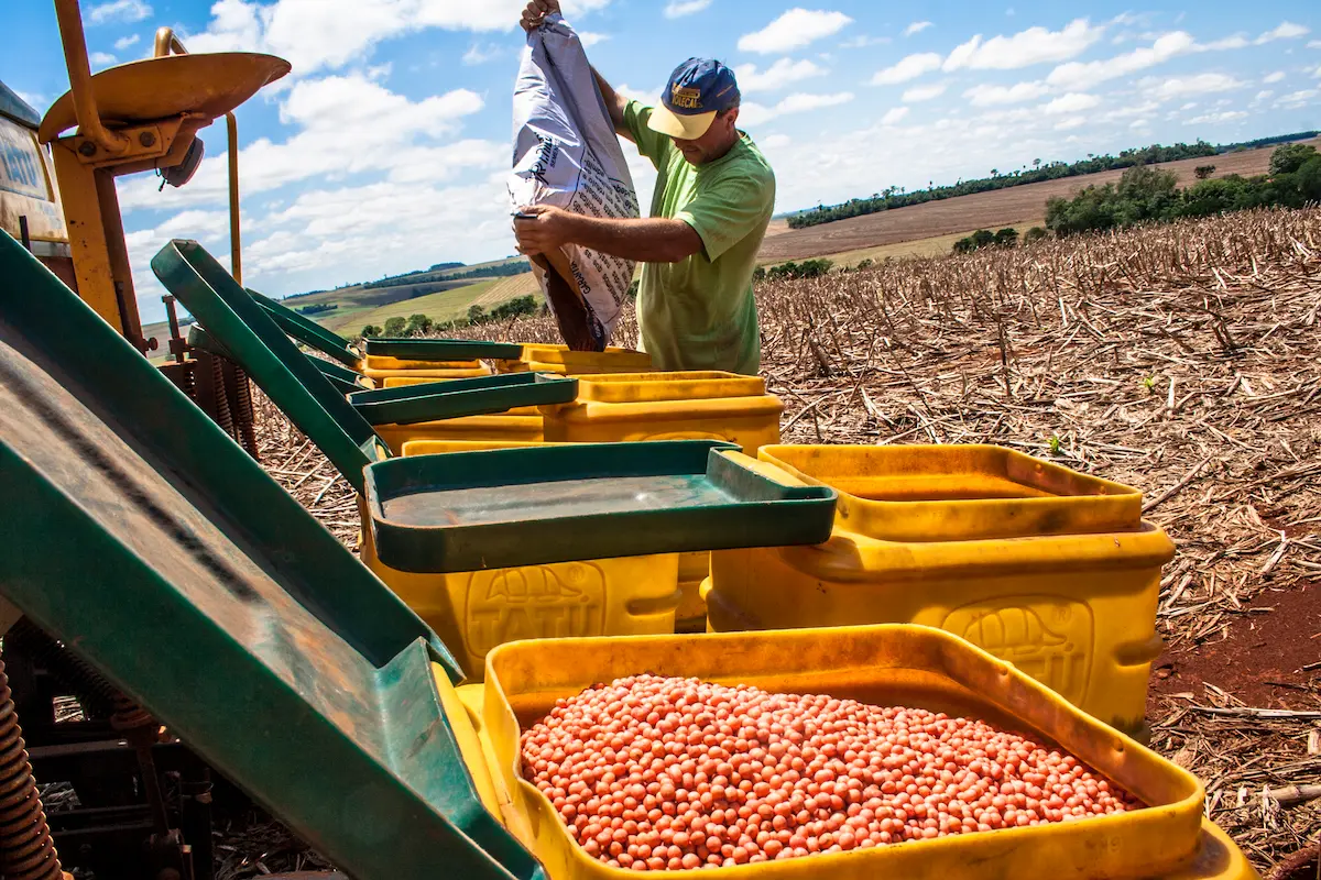 plantio de soja riscos climáticos estiagem Conexão Agro