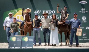 prêmiação mangalarga conexão agro