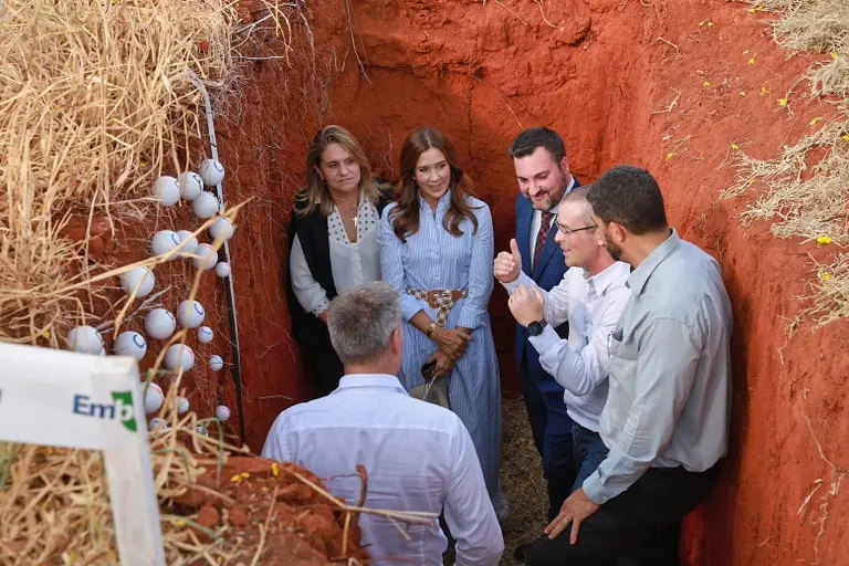 Rainha da dinamarca Embrapa cerrados Bioas e ILPF Conexão Agro