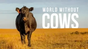 mundo sem vacas documentário conexão agro world whithout cows