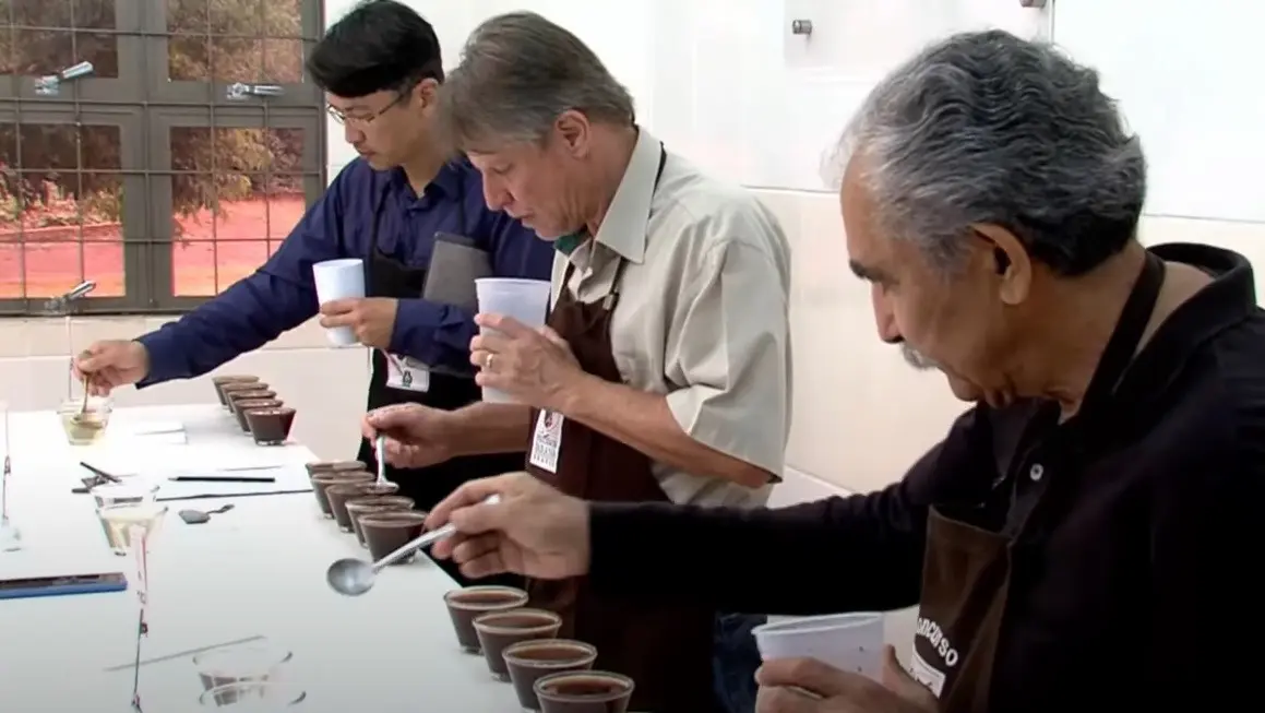 café qualidade paraná premiação conexão agro