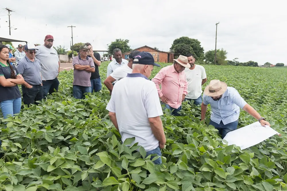 girotécnico Embrapa soja Paraná Conexão Agro