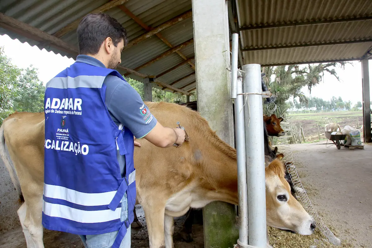 veterinários cadastramento aftosa e brucelose Conexão Agro