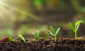 Lei sancionada produção fiscalização conexão agro