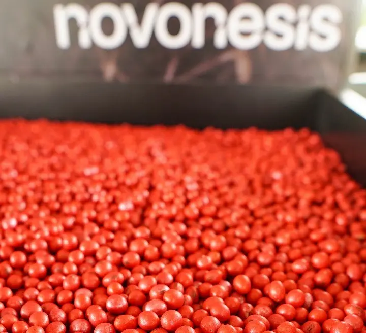 tratamento sementes nutrição de plantas conexão agro