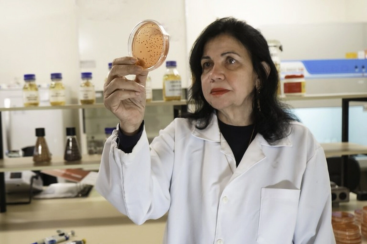 Mariangela_Hungria_FT_Luciano_Pascoal_Embrapa_Soja-OK Pesquisadora da Embrapa Soja, Mariangela Hungria - vencedora do maior prêmio mundial da agricultura