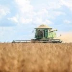 biossoluções bactérias fixadoras de nitrogênio soja conexão agro