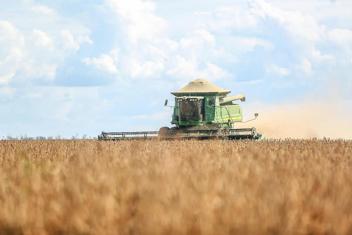 biossoluções bactérias fixadoras de nitrogênio soja conexão agro