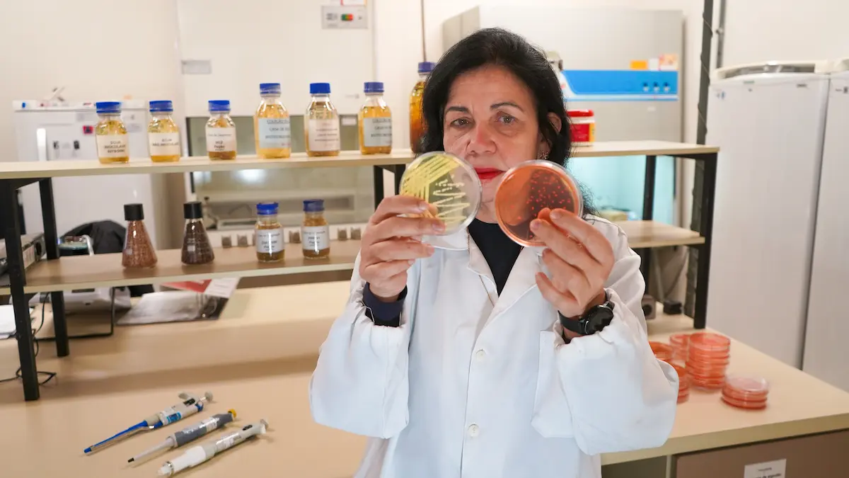 Embrapa soja Nobel da Agricultura premiação Mariangela Hungria Conexão Agro