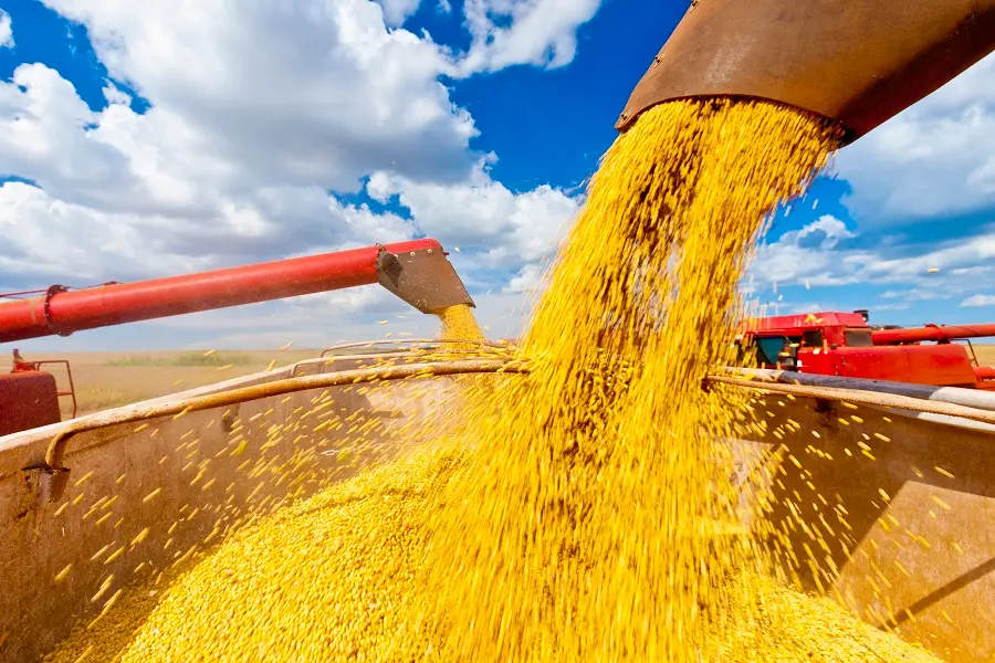 cadeia produtiva da soja cbsoja conexão agro
