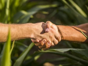 crédito rural road show conexão agro