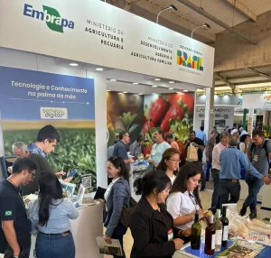 Hortitec
hortaliças
embrapa
conexão_agro