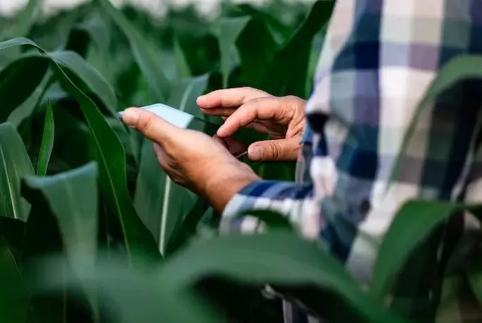 seguro rural sicredi dexis conexão agro