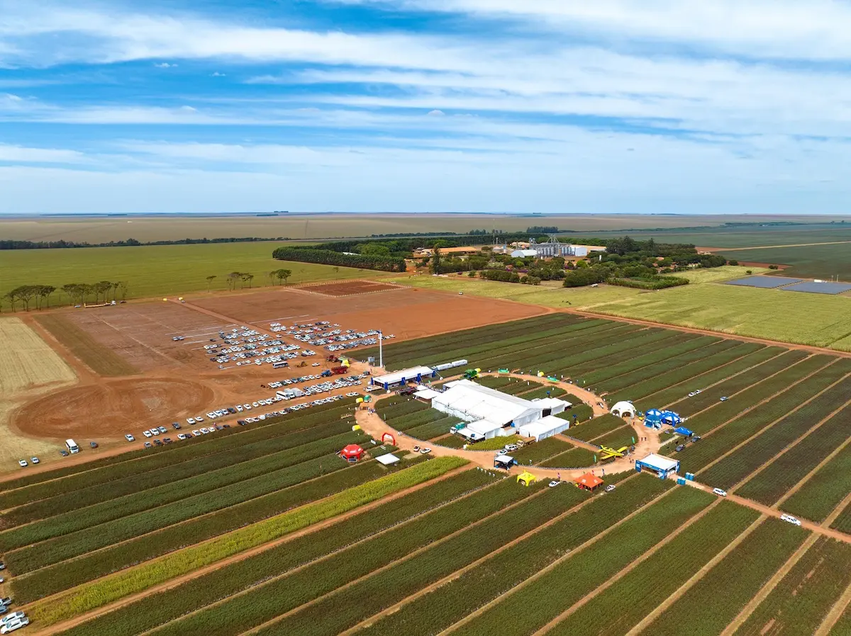 Dia de campo algodão Mato Grosso Conexão Agro
