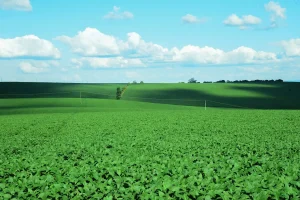 Soja cpr inadimplência conexão agro