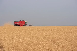 maquinários adubo fertilizantes Anda conexão agro conexão agro