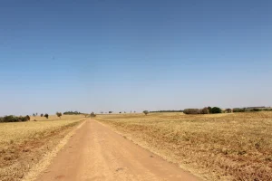 queimadas agricultura produtividade biodiversidade do solo conexão agro