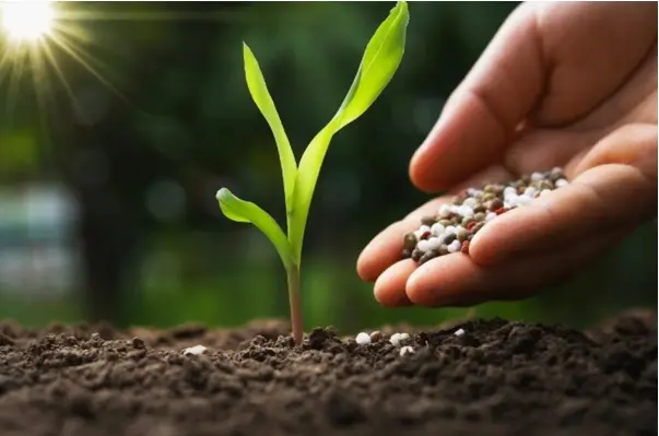 Nutrição de plantas produtividade conexão agro