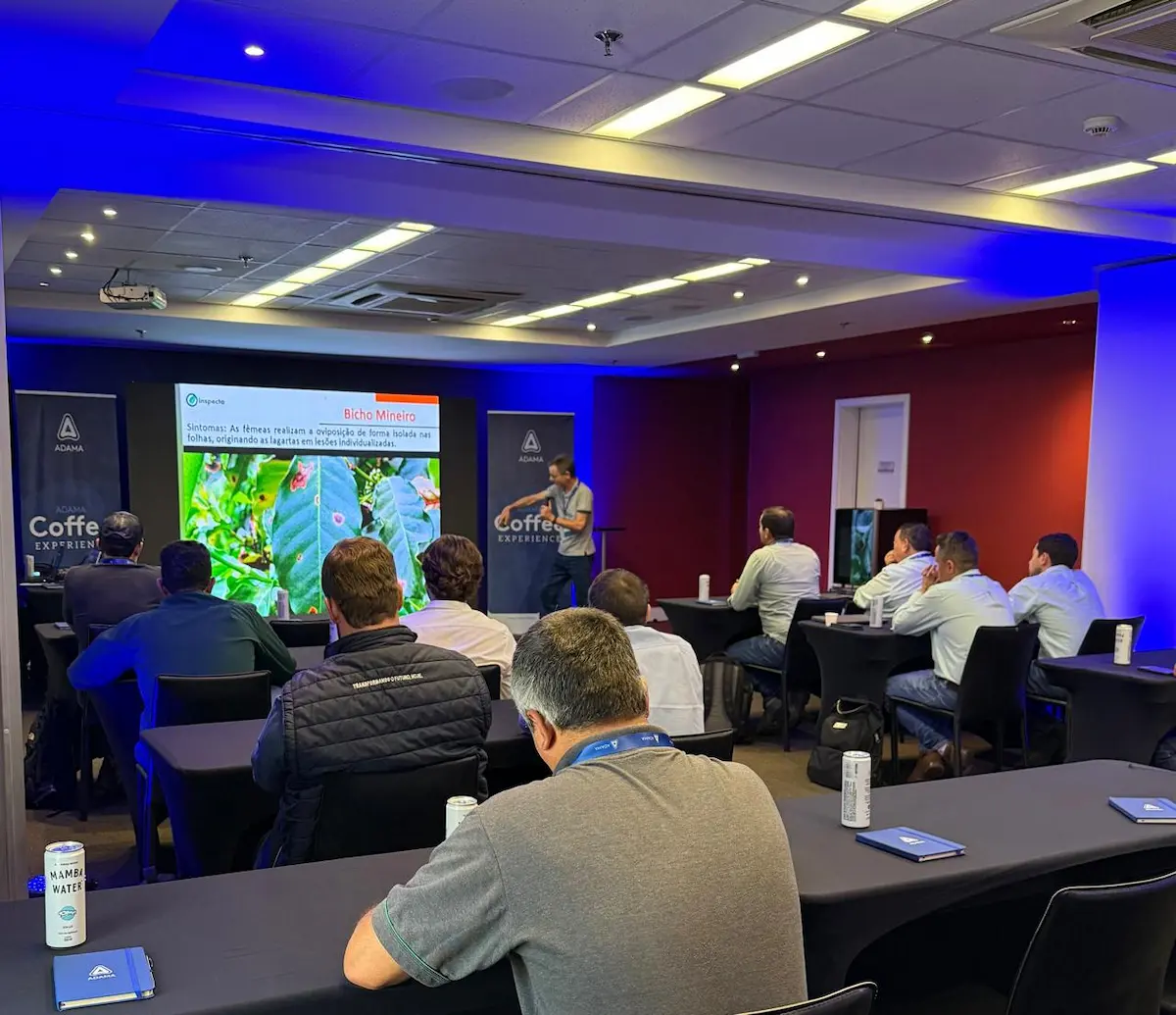 café cafeicultura bicho_mineiro Adama Conexão Agro