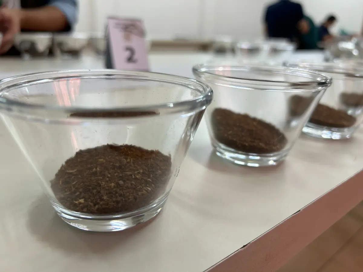 Curso Café Degustação IDR-Paraná Conexão Agro