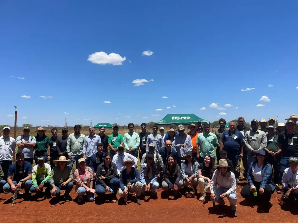 Dia de campo Pulses coluna Warley nascimento Conexão agro