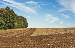diligências de terras propriedade rural sustentabilidade conexão agro