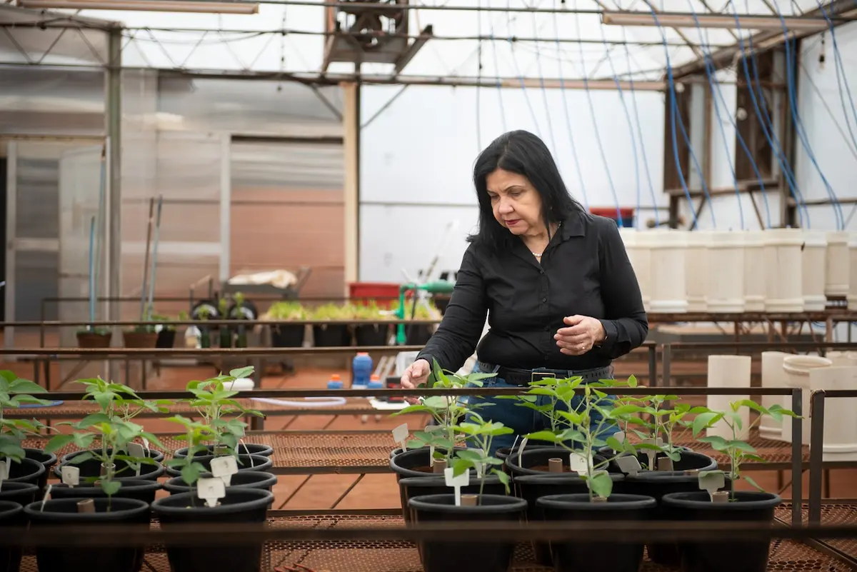 Mariangela Hungria personalidade influencia clima Lista climate 100 Conexão Agro