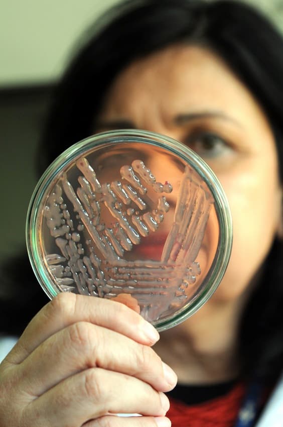 lista Time 100 Climate 2025