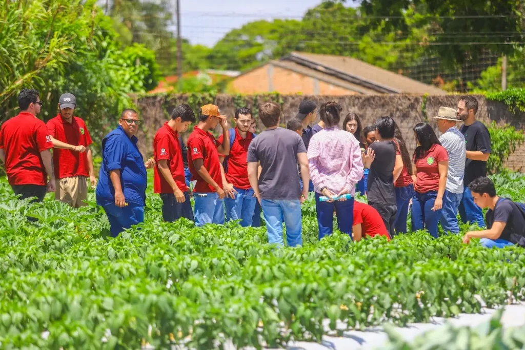 Cocriagro Unifil dia de campo susntentabilidade Conexão Agro