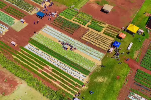 Cocriagro Unifil dia de campo sustentabilidade Conexão Agro