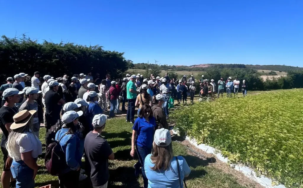 hortaliças coluna Warley Nascimento 