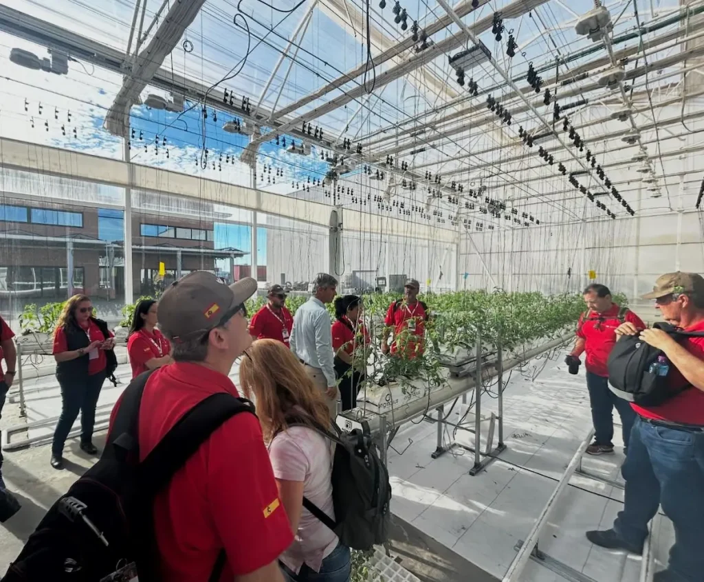 visita espanha hortaliças sustentabilidade conexão agro