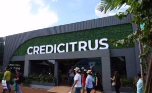 credicitrus cooperativismo crédito rural conexão agro