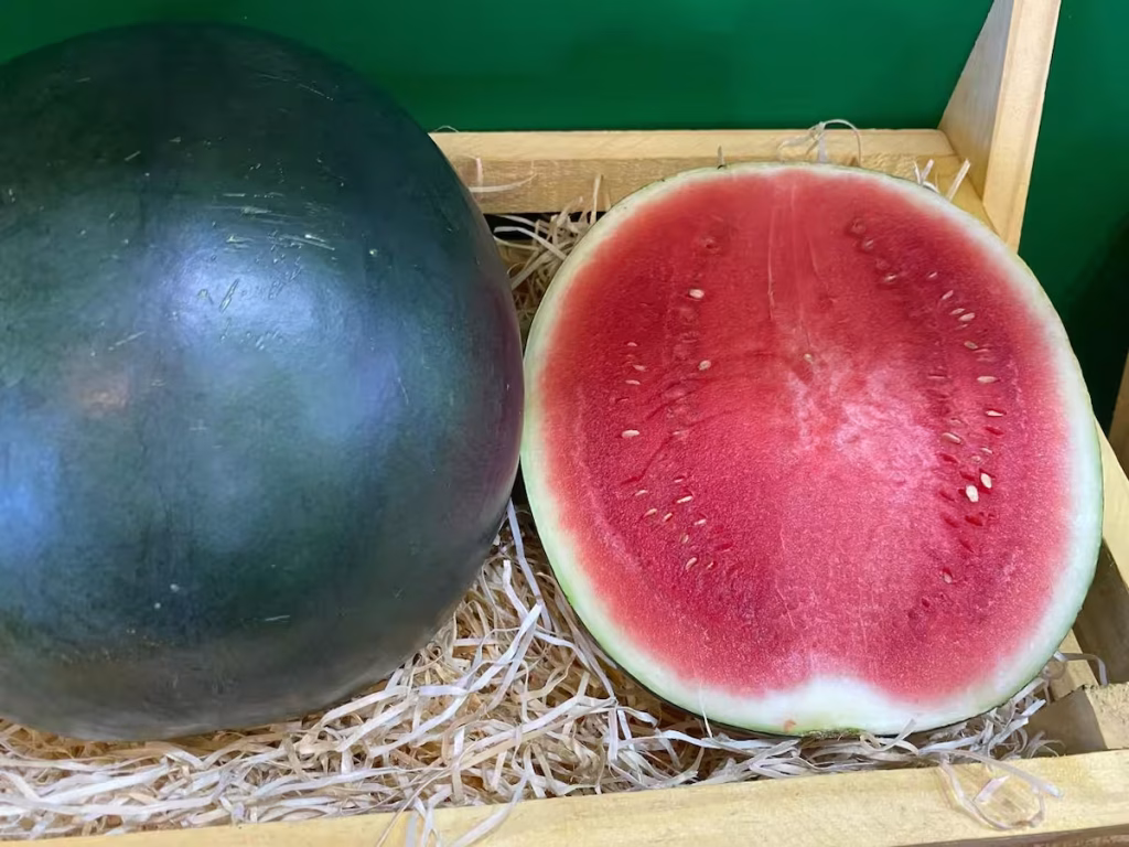 mercosul união europeia acordo exportações conexão agro