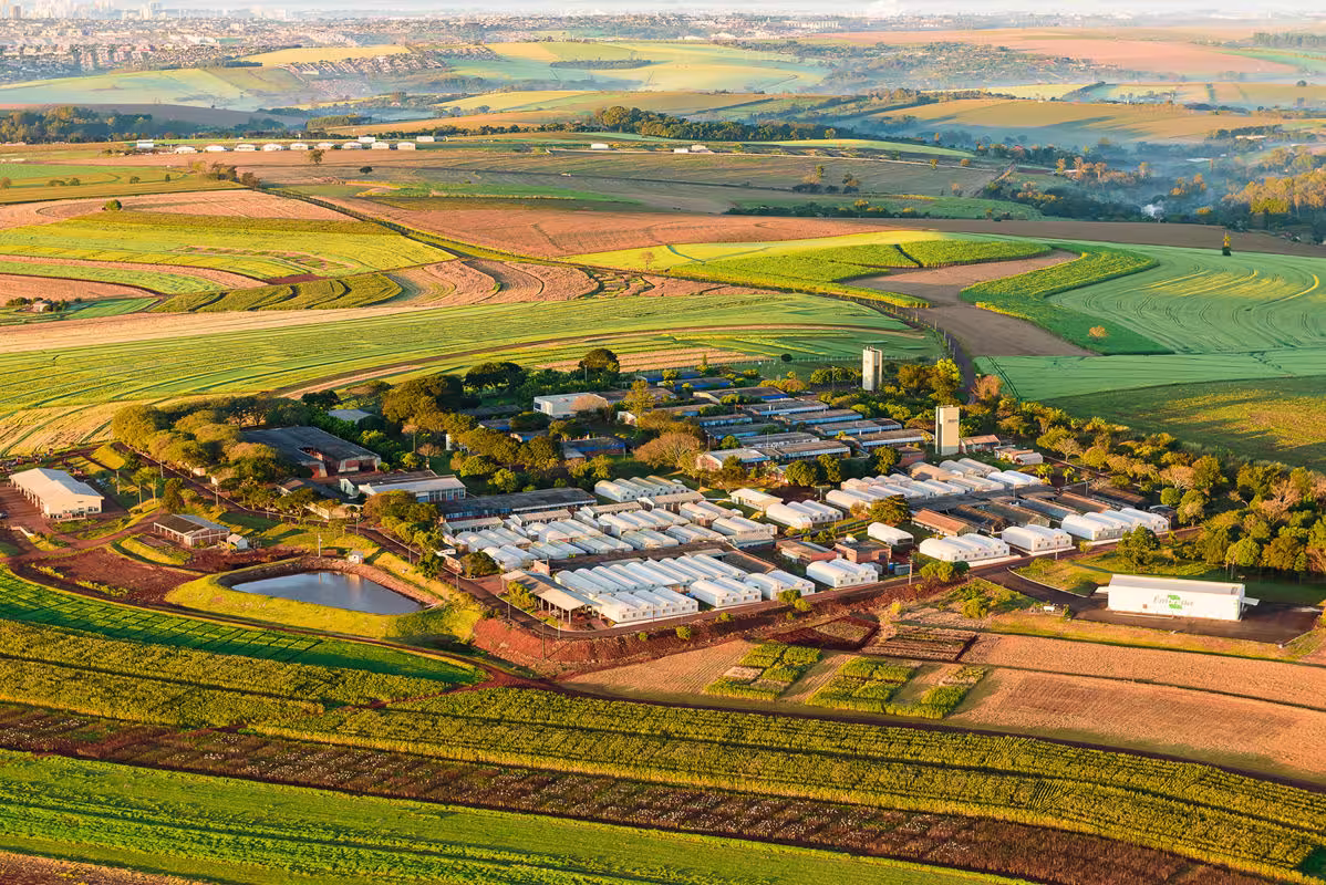 curso produção de sementes embrapa soja conexão agro