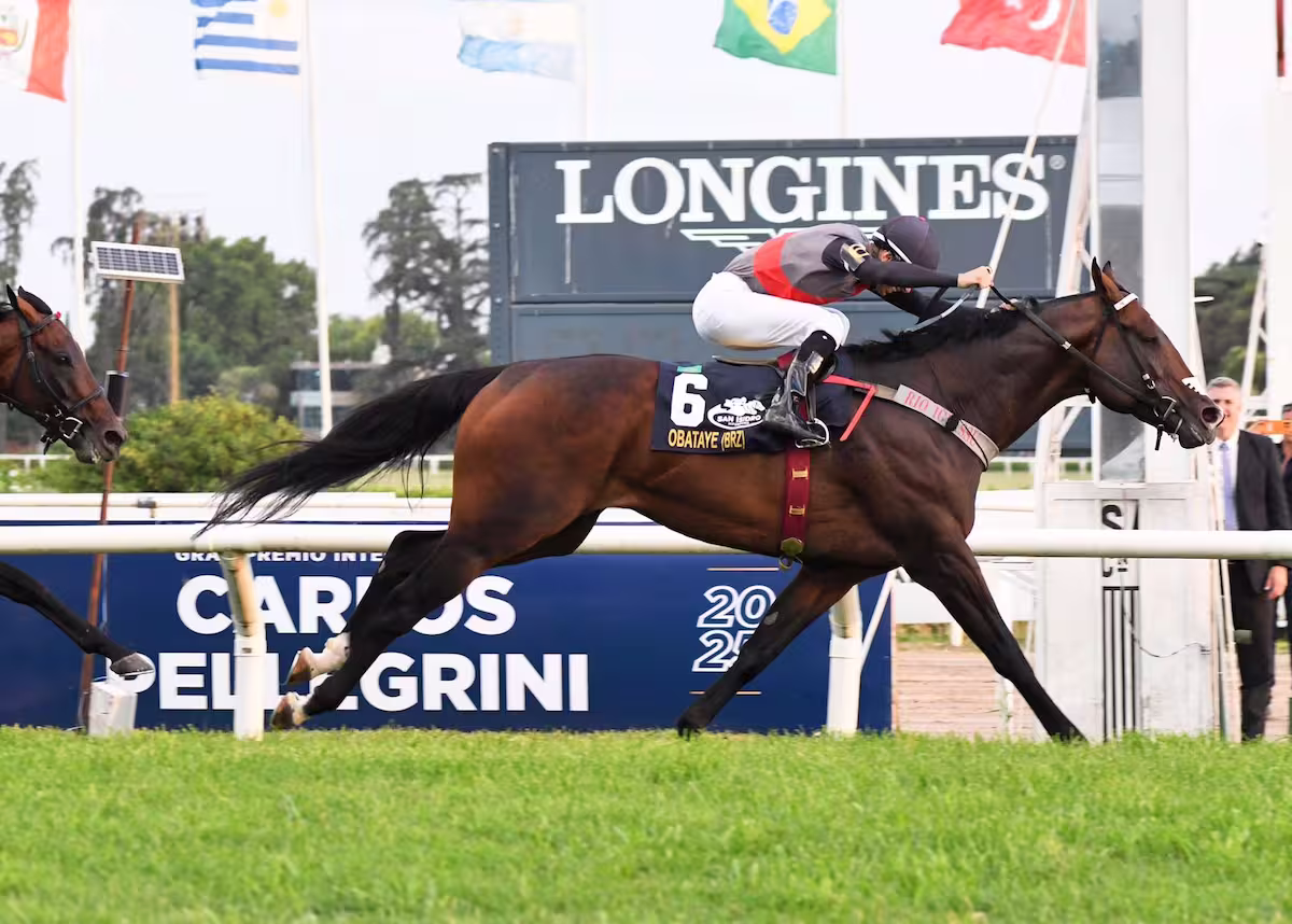 competição equinos Obataye no Grande Prêmio Carlos Pellegrini conexao agro