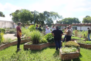 resíduos orgânicos compostagem AGROECOLOGIA CONEXÃO AGRO