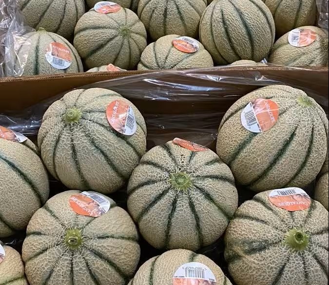 hortaliças rastreabilidade coluna warley conexaoagro