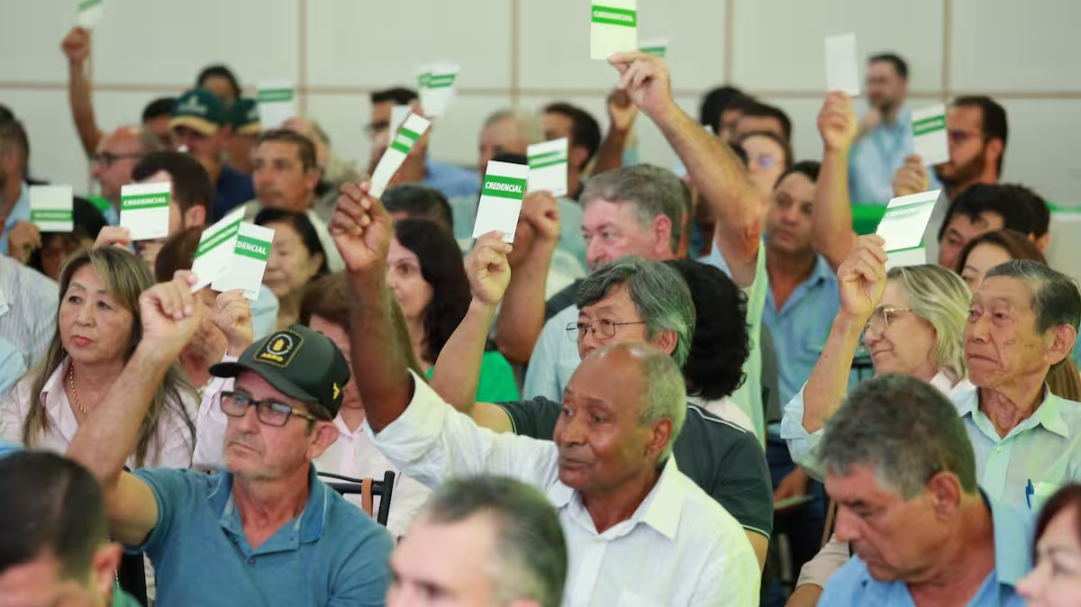 Integrada cooperativismo diretoria conexao agro