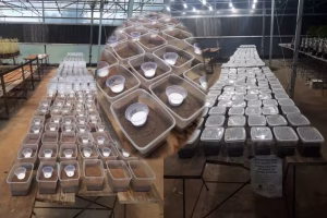 Pesquisa sobre solo Serra Gaúcha Conexão Agro