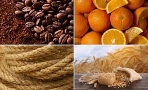 preços mínimos conab conexao agro