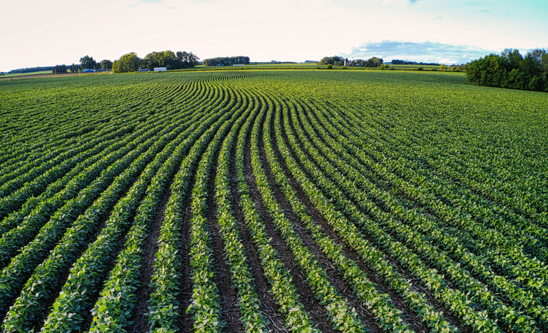 CPR Cédula de Produto Rural Conexão Agro