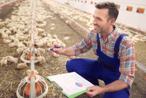 avicultura expolondrina conexao agro