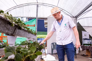 Fazendinha expolondrina conexao agro