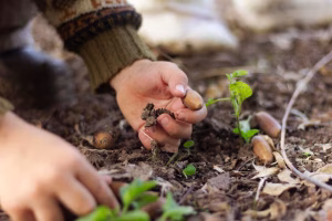 Simpósio Sementes Florestais Cbsementes Conexão Agro