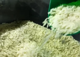 Importação de arroz - Conexão Agro