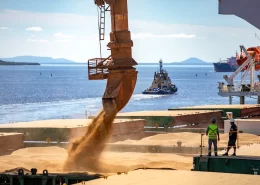 Exportação nos Portos do Paraná - Conexão Agro