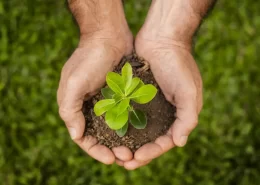 ESG Práticas sustentáveis sustentabilidade Meio ambiente Conexão Agro